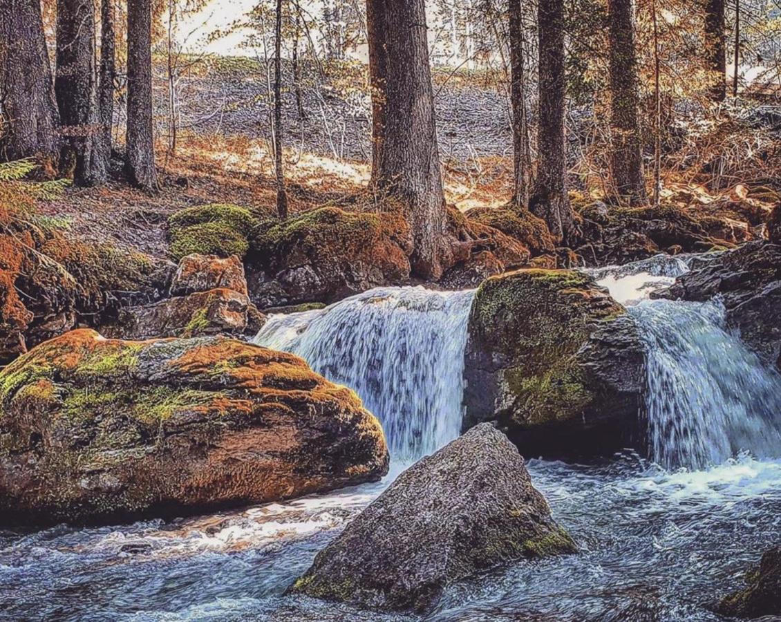 Micro-Lodge, Le Petit Nid D'Amour Montriond Esterno foto