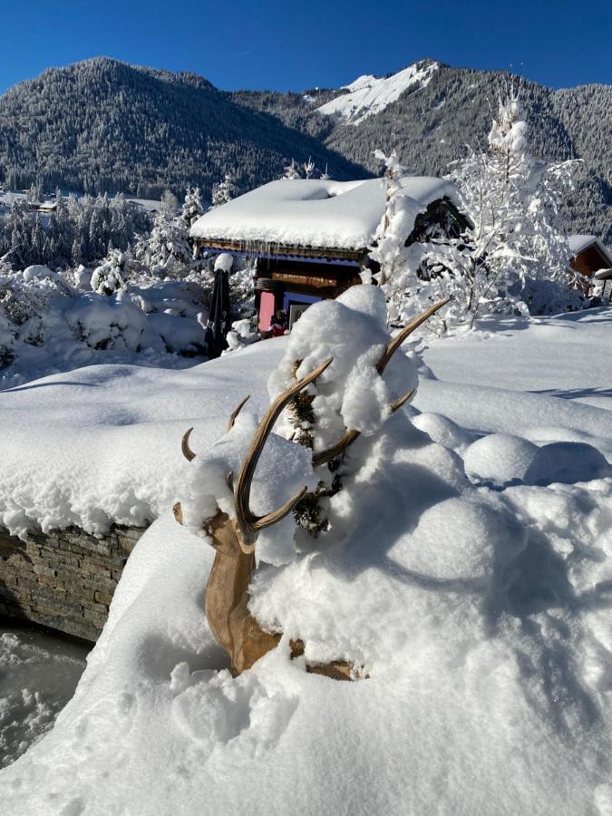Micro-Lodge, Le Petit Nid D'Amour Montriond Esterno foto