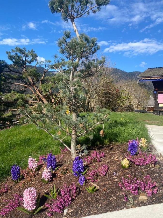 Micro-Lodge, Le Petit Nid D'Amour Montriond Esterno foto