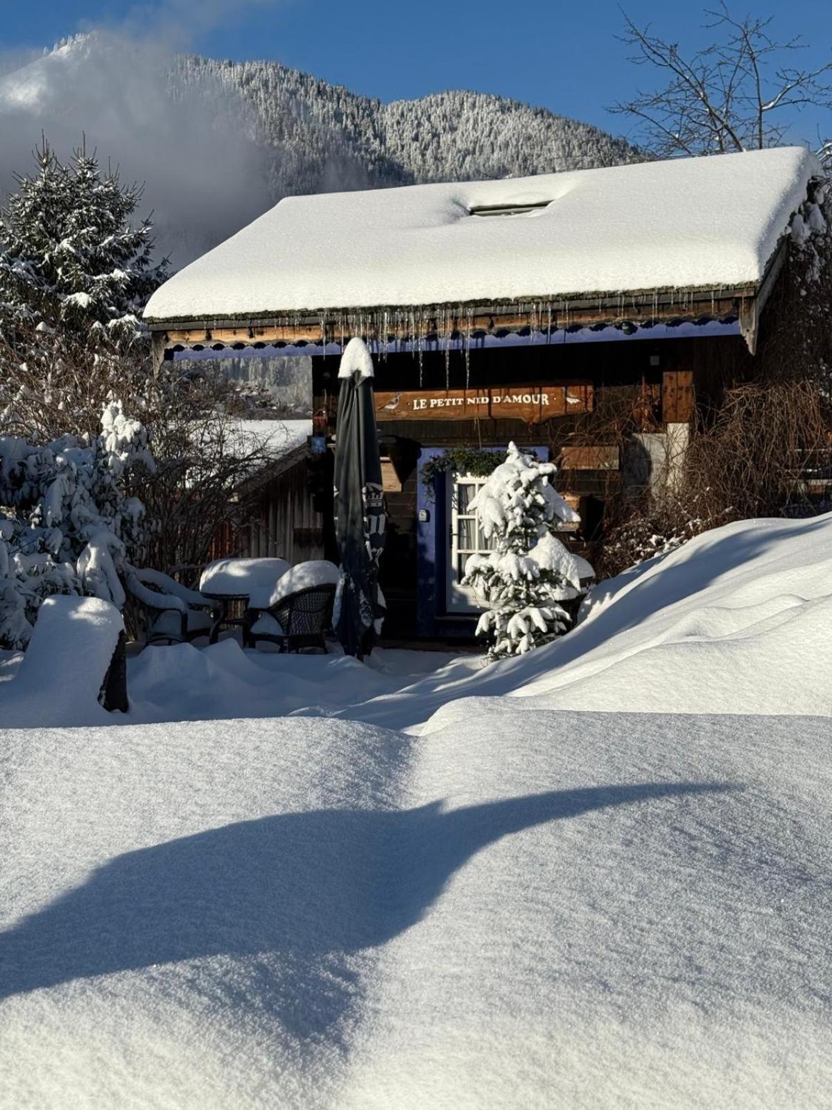 Micro-Lodge, Le Petit Nid D'Amour Montriond Esterno foto