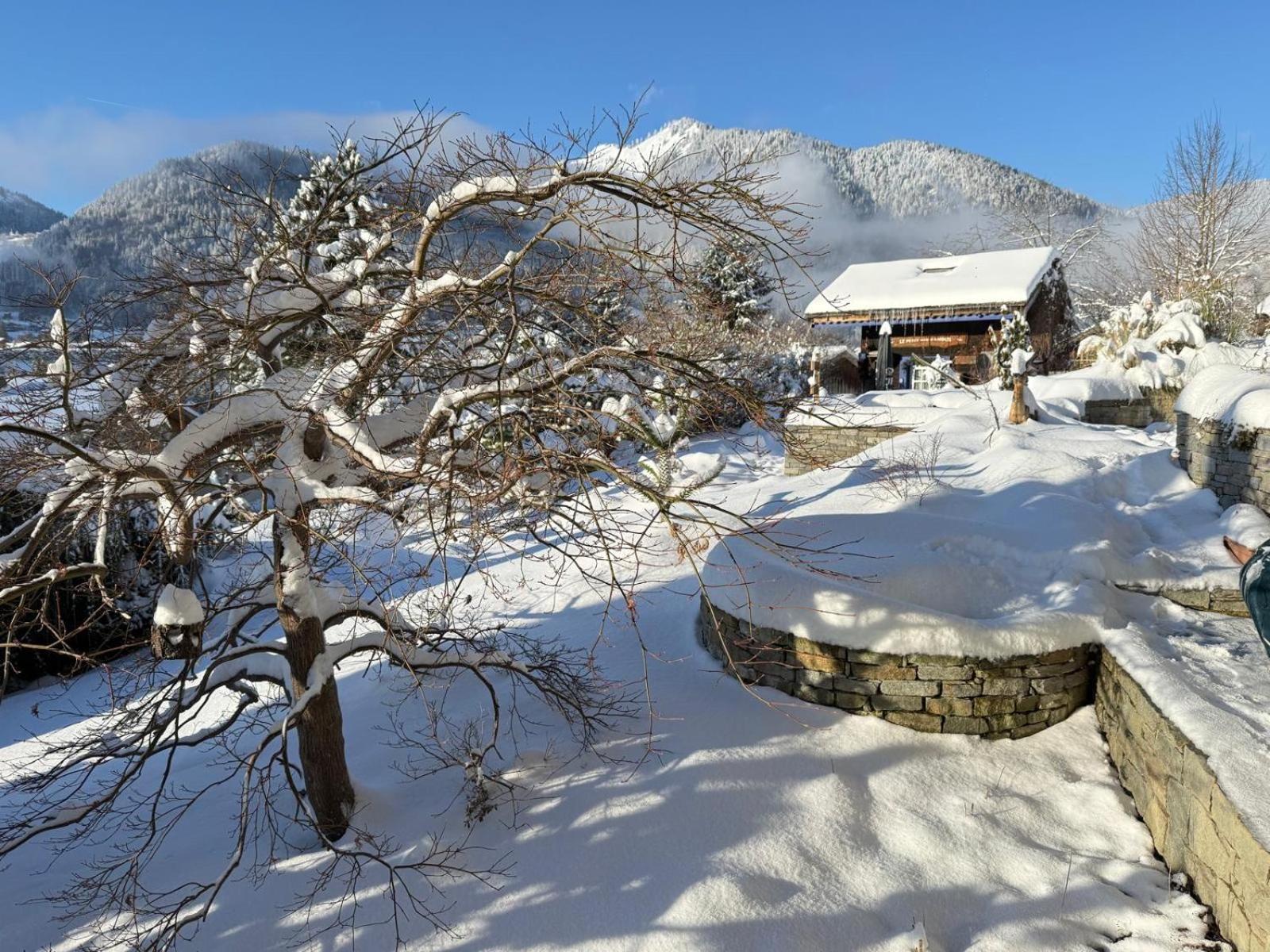 Micro-Lodge, Le Petit Nid D'Amour Montriond Esterno foto