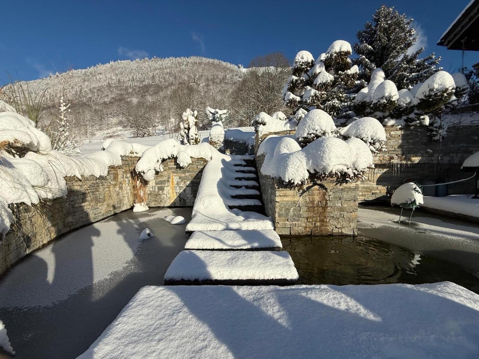 Micro-Lodge, Le Petit Nid D'Amour Montriond Esterno foto
