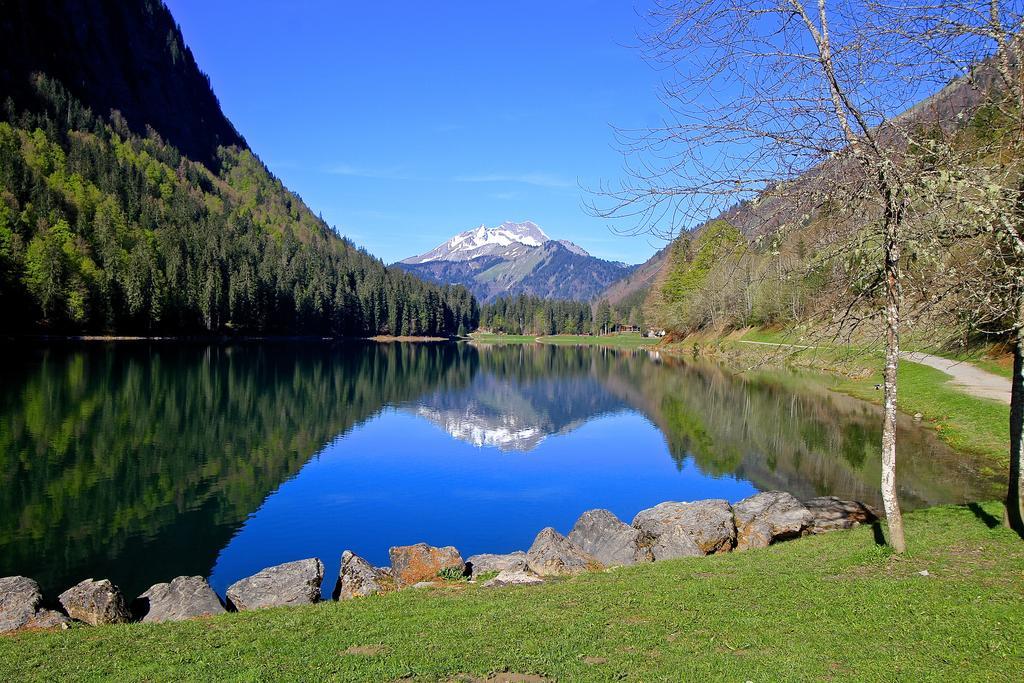 Micro-Lodge, Le Petit Nid D'Amour Montriond Esterno foto