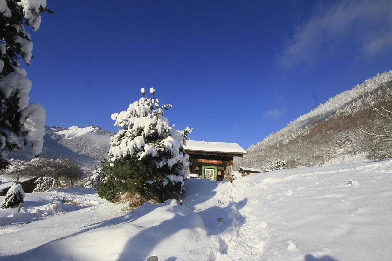Micro-Lodge, Le Petit Nid D'Amour Montriond Esterno foto